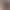 ميكى ماوس