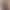 ميكى ماوس